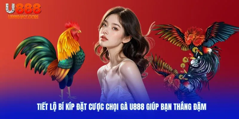 Tiết Lộ Bí Kíp Đặt Cược Chọi Gà U888 Giúp Bạn Thắng Đậm