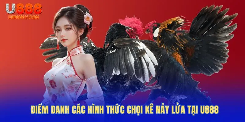 Điểm Danh Các Hình Thức Chọi Kê Nảy Lửa Tại U888
