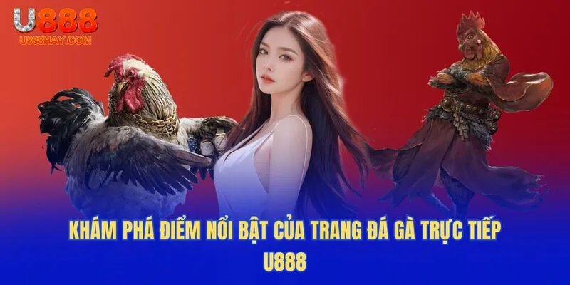 Khám Phá Điểm Nổi Bật Của Trang Đá Gà Trực Tiếp U888