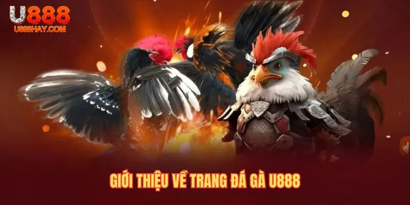 Giới Thiệu Về Trang Đá Gà U888