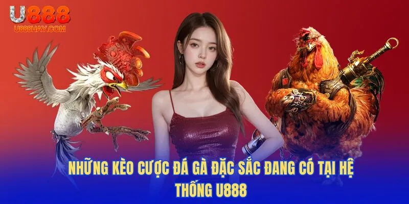 Những Kèo Cược Đá Gà Đặc Sắc Đang Có Tại Hệ Thống U888