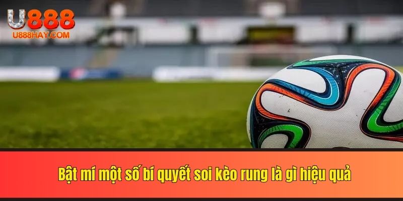 Bật mí một số bí quyết soi kèo rung là gì hiệu quả