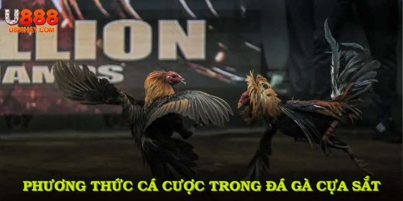 Phương Thức Cá Cược Trong Đá Gà Cựa Sắt