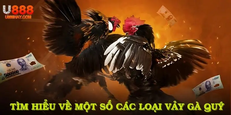 Tìm hiểu về một số các loại vảy gà quý giá hiện nay