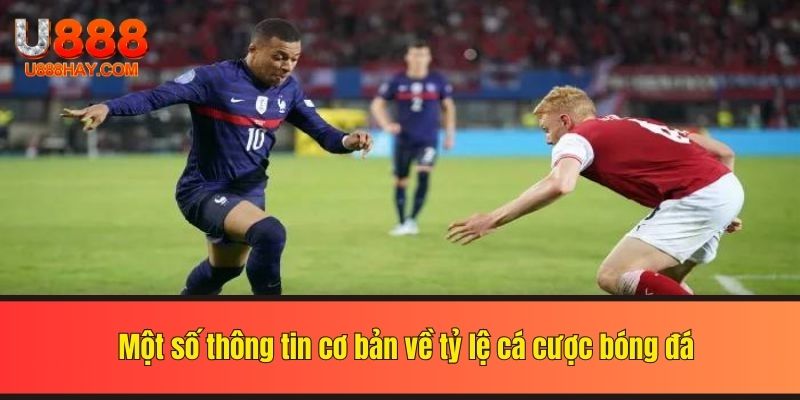 Một số thông tin cơ bản về tỷ lệ cá cược bóng đá